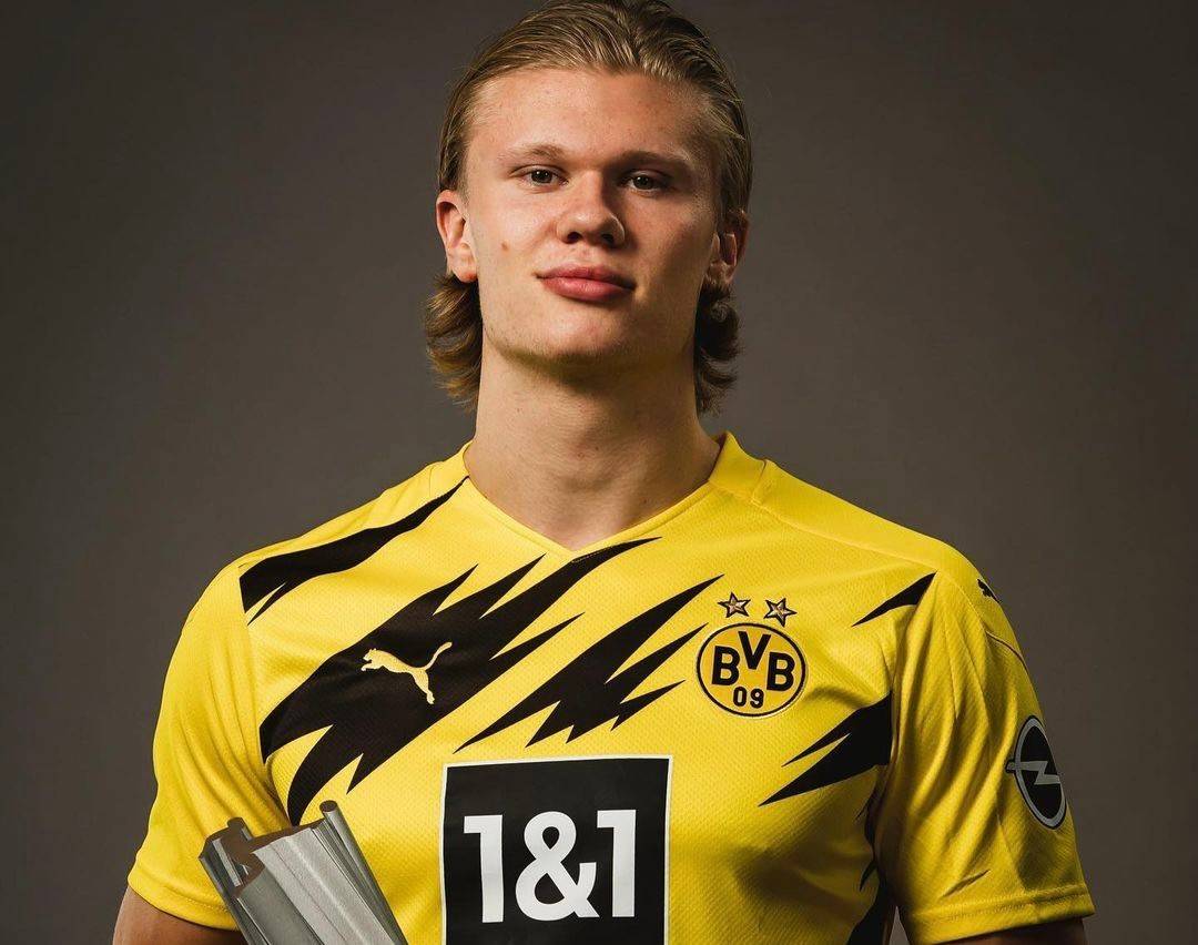 全球化影响 全球化影响