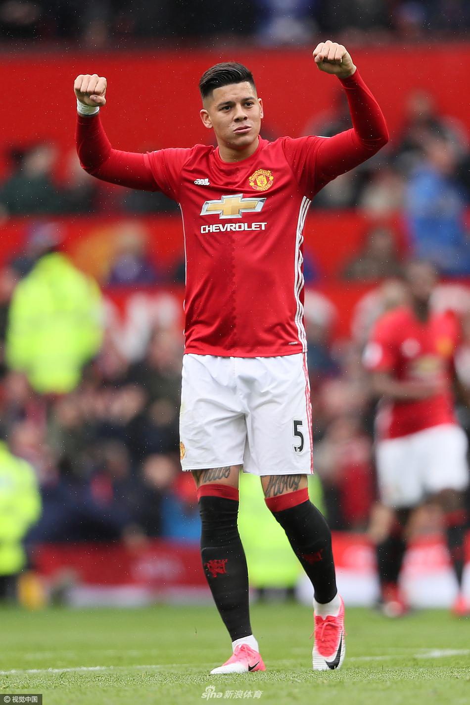 鸽构筑游戏 鸽构筑游戏